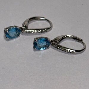 Elegant Blue Silver Earrings